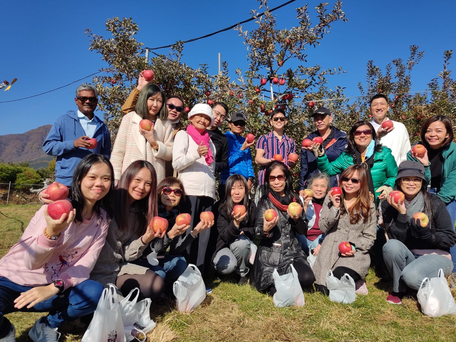 Buddy Experience group enjoying an apple-picking experience together